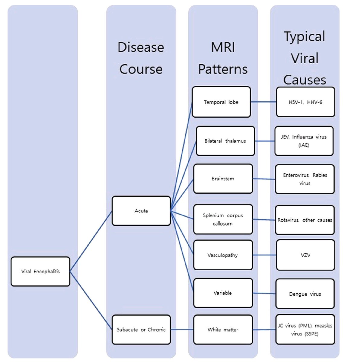 An imaging approach to viral encephalitis syndromes..
doi.org/10.1016/j.nic.… @ Neuroimaging clinics