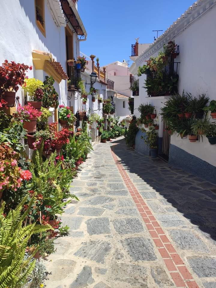 ¡¡ #BuenosDias y #FelizMartes desde #CanillasDeAceituno !!

🇪🇦 'Las pausas en el camino son necesarias para llegar más lejos'.
...
#Axarquía | #Andalucia | #Travelling | #TravelBlogger |  #Landscape |  #Travelgram |  #World | #Viaje | #LugaresconEncanto | #Málaga |