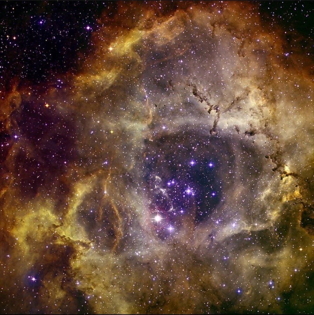 A portion of Rosette nebula captured by nasa Chandra xray.