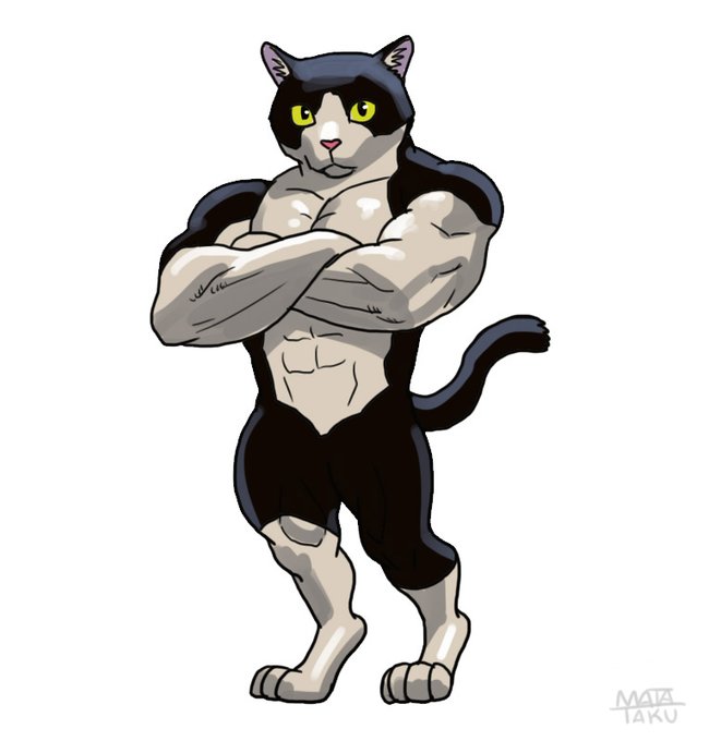 「abs muscular male」 illustration images(Latest)