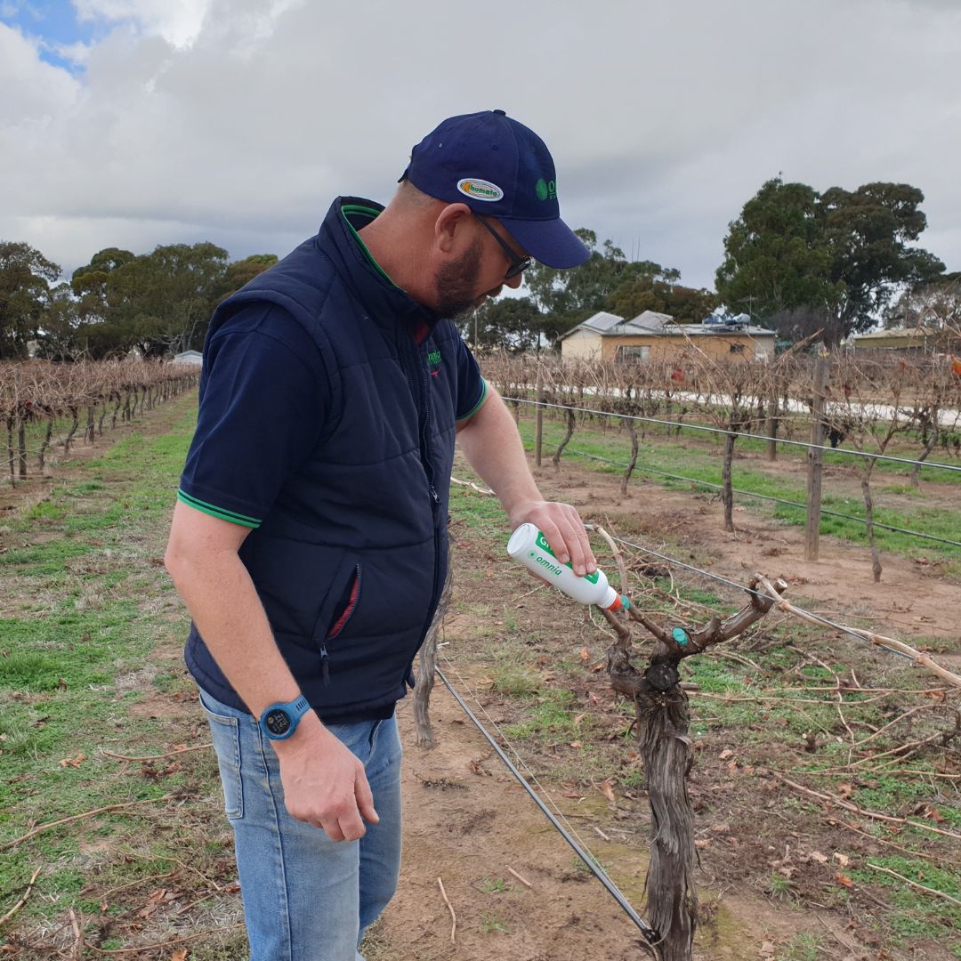 OmniaAustralia's tweet photo. ๐ #OmniaAustralia will be at the #Barossa Pruning Expo & #Agtech #FieldDay June 14 #Nuriootpa Research Centre. Discover #Greenseal pruning wound dressing to protect #vineyards from disease + more #agtech innovations.
Register for FREE ๐ https://t.co/8zCzdYvrfV
@SA_PIRSA #Omnia https://t.co/8OZdhqsIST