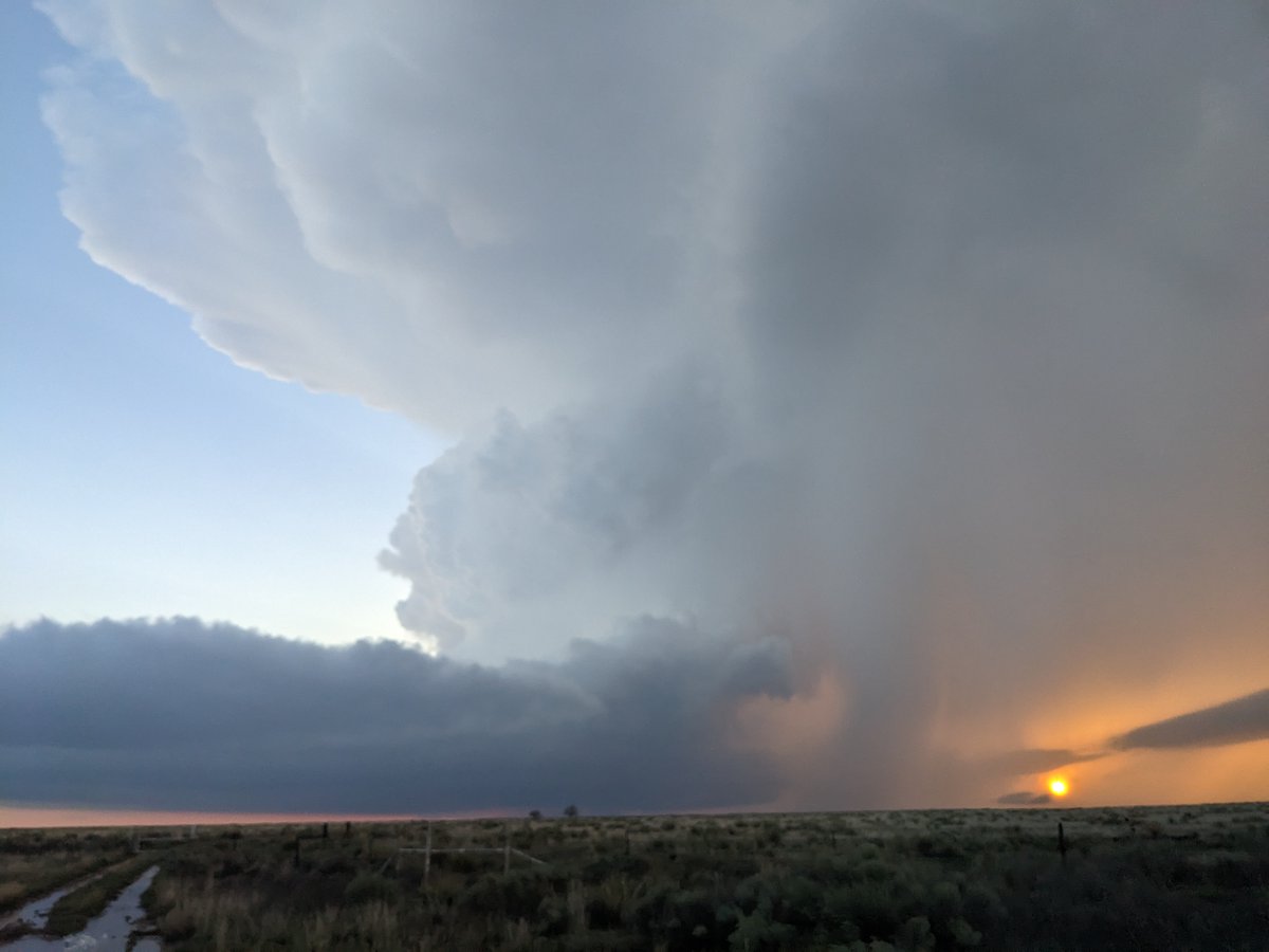 Matthew Wilson tweet media