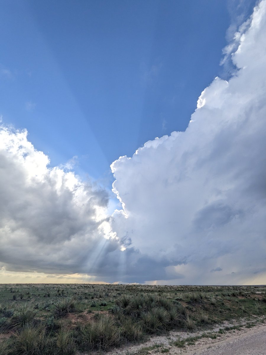 Matthew Wilson tweet media