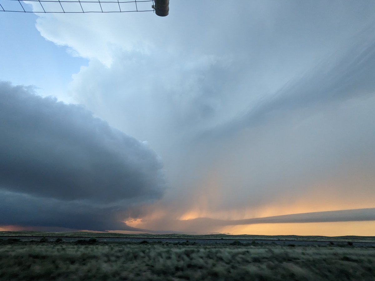 Matthew Wilson tweet media