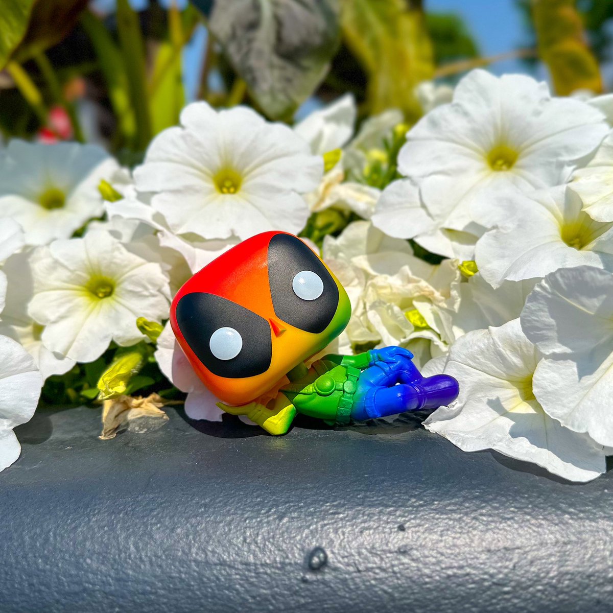 brunette_nerdet's tweet photo. Pride Pops ๐
#pridemonth #popswithpurpose #deadpool
@funko
#funkophotography
#funkofunatic
#myfunkostory https://t.co/JCVTitjg4q