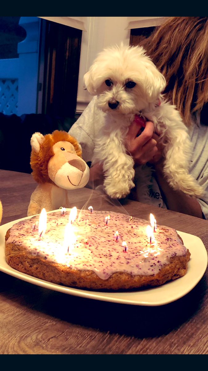 Making a wish 💫….and we had cake 🎂! Thank you to everyone for all the birthday wishes for Carly💞💞💞 I appreciate it so much! #MuchLove♥️ Kim and Carly x