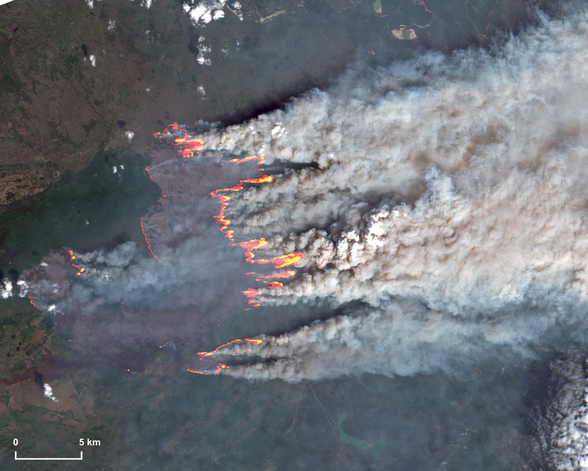 ⚠️🔴🔥🇨🇦As of today, still 76 #wildfires are burning in #Alberta fromN to S, with a renewed strength that is increasing again the mass of smoke engulfing #Canada. The #ABFires are really violent and smokey in NE Alberta as shown in this #Sentinel2 📸of June 11. #ClimateEmergency