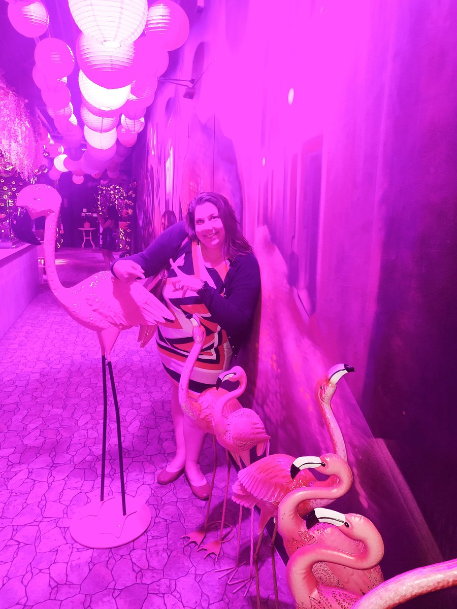 JeniPastier's tweet photo. All the way from DC - #GoKnightsGo 💛🖤💛🖤 @GoldenKnights #VegasBorn @NHL #StanleyCup #StanleyCupFinal https://t.co/sabBNM8Ki7