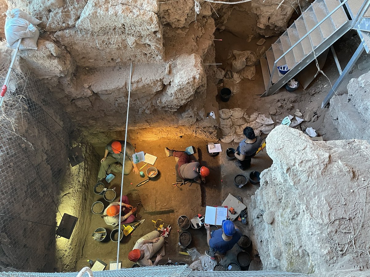 HayonimCave's tweet photo. There are still  a few open slots for volunteers in the 2023 season at Hayonim Cave, running August 6th-25th. We promise lots of fun, hard work and sweat. contact us! https://t.co/0vgAzP2k68