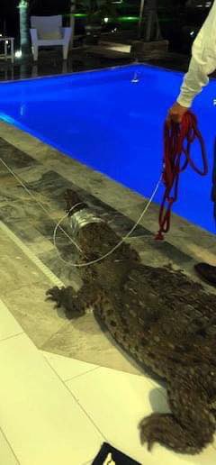 Florida Scanner tweet media