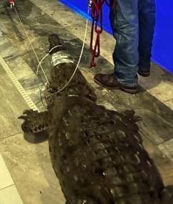 Florida Scanner tweet media