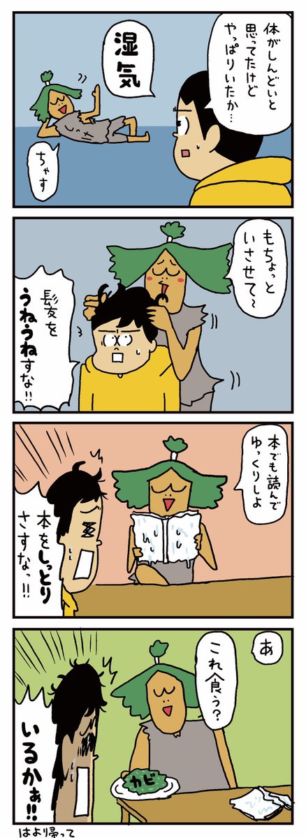 湿気よ!はよ帰って!!
