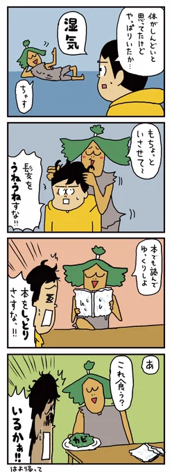 湿気よ!はよ帰って!!