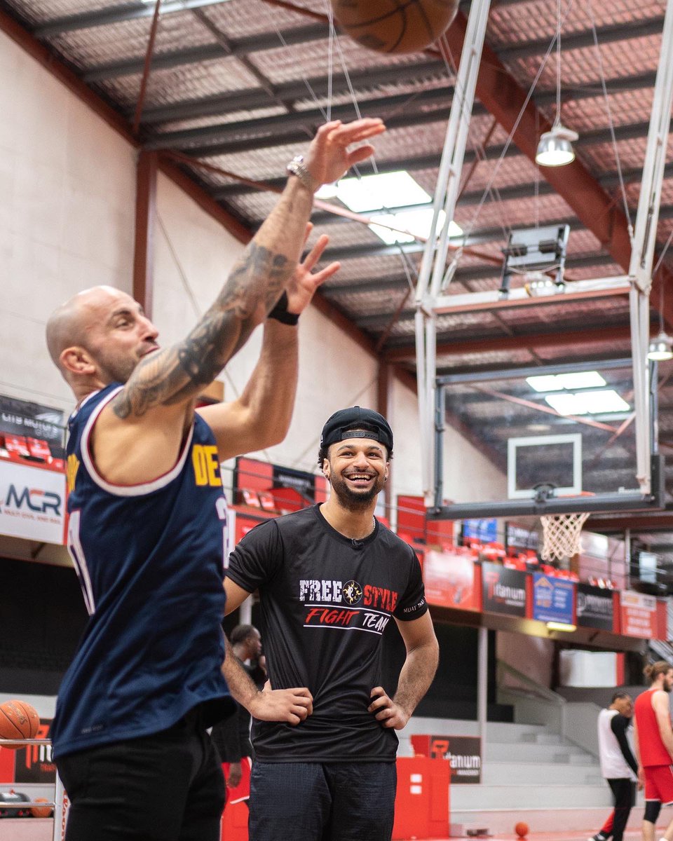 Alex Volkanovski tweet media