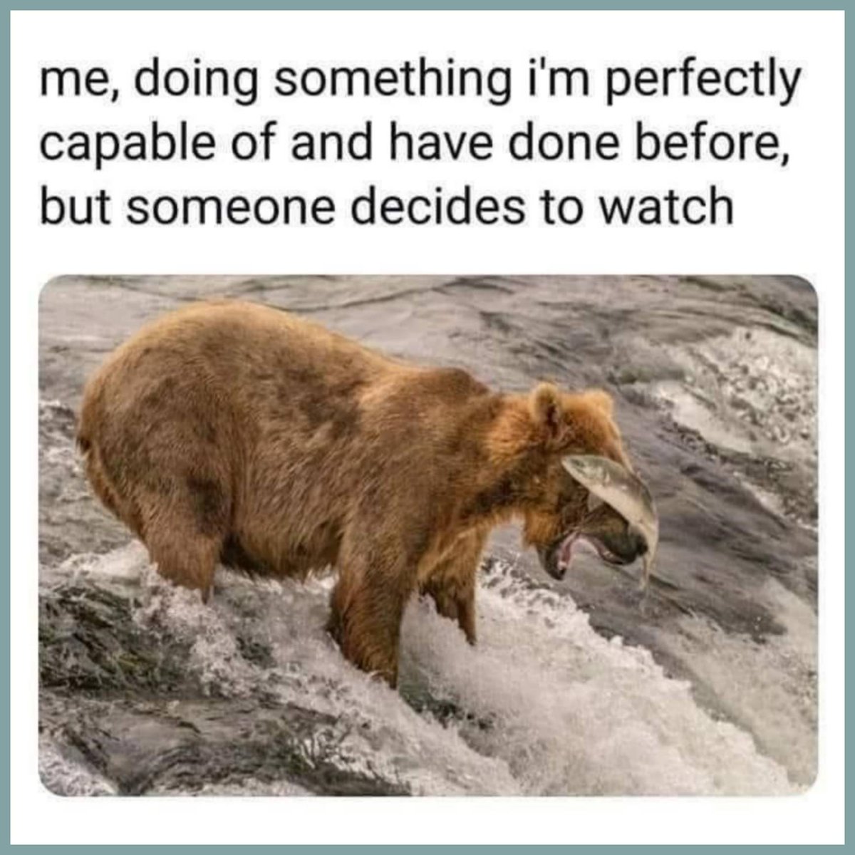 ask_aubry's tweet photo. Every time. https://t.co/Hl7LS4SUQY