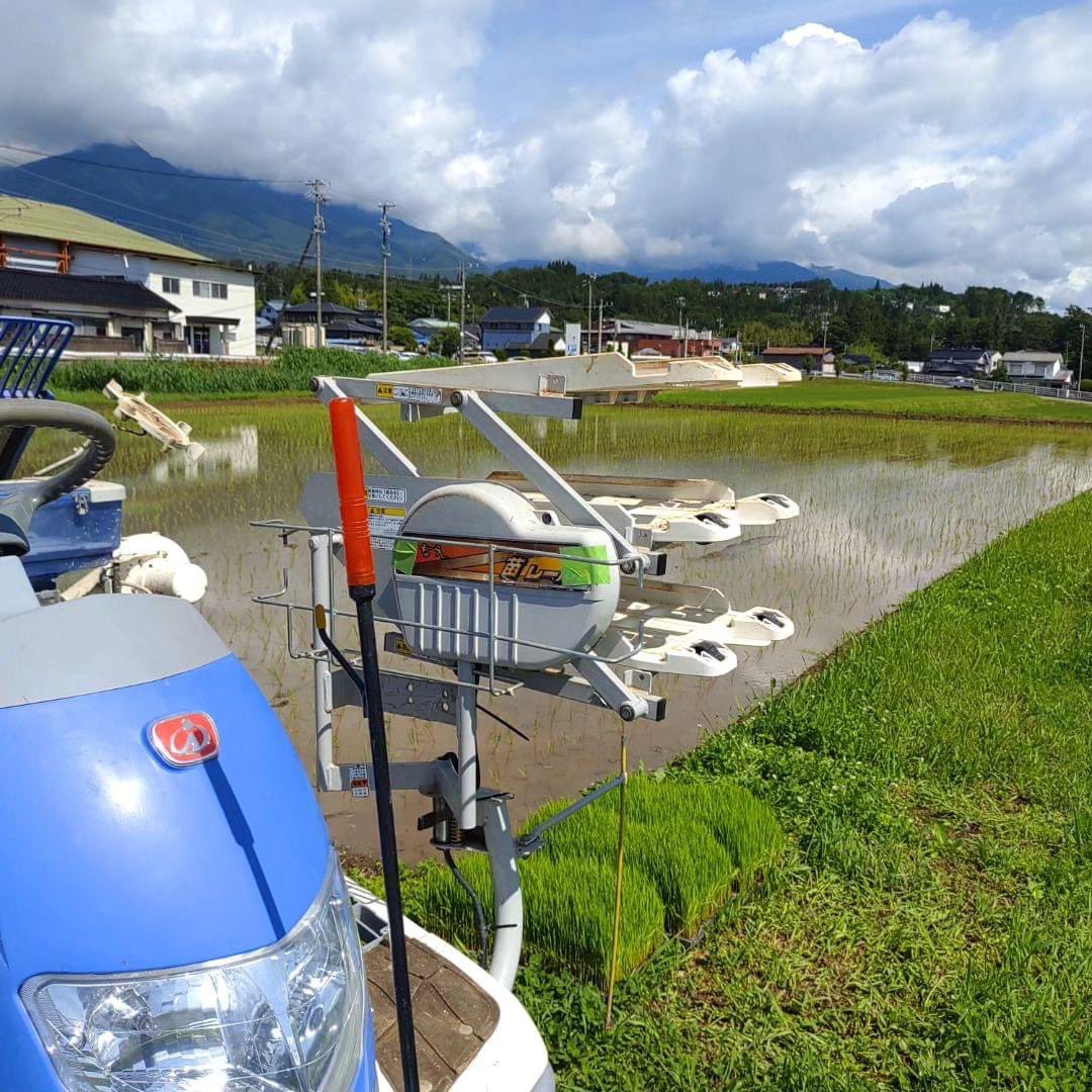 zakojifarm's tweet photo. 田植えがやっと終わりました😆
天気の関係者で少し遅くなりましたが、これでとりあえず一段落です。 https://t.co/b2o9iSjb4n