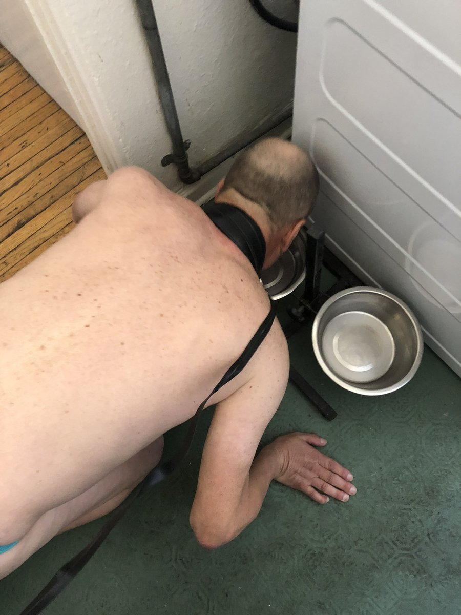 MasterUnde32251's tweet photo. Drink like a dog. 
#slave #oldfag #olddag #gayslave https://t.co/GjQY9C19rx