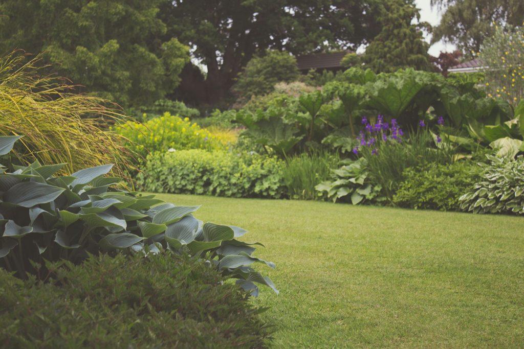 FillMershon's tweet image. green-er.net
Green ER's weed control services can transform your lawn into a beautiful and weed-free landscape, enhancing the overall appearance of your home. #GreenerLawns #WeedControl #Landscape #KatyTexas