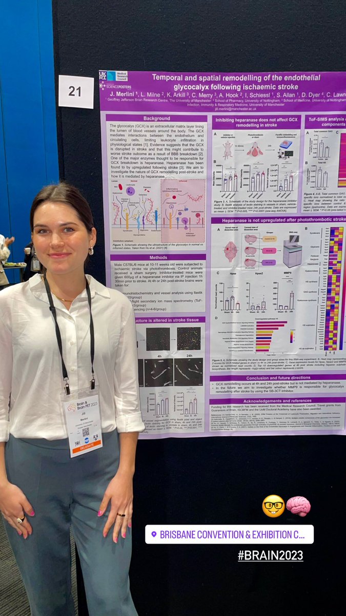 Made it to #brain2023 in Brisbane! Come and see my poster on glycocalyx remodelling post-stroke at 3-4 if you’re around 🧠