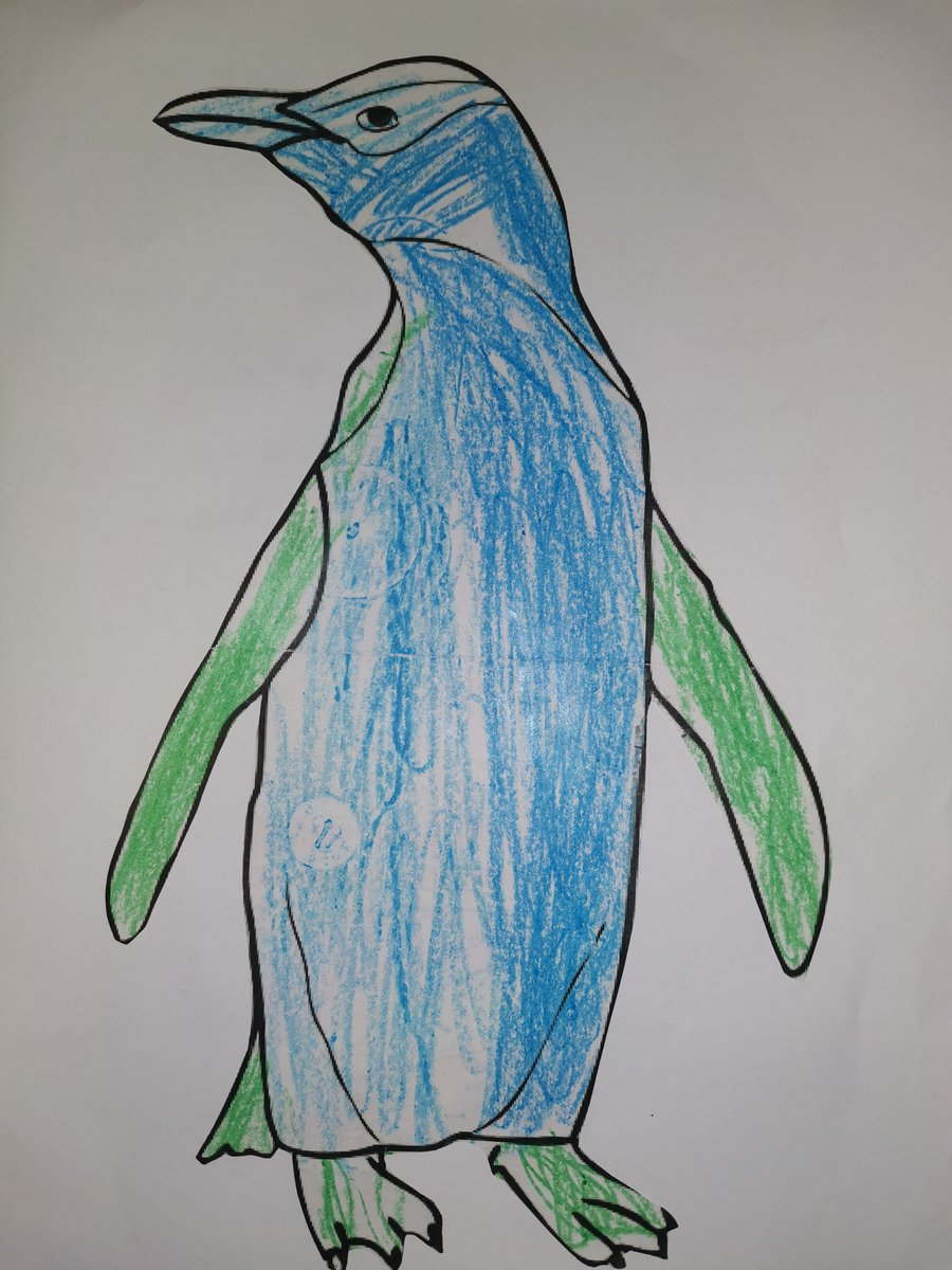 Our geoeducator recently visited the tamariki at Montessori Oamaru for World Environment Day. We learned all about the different treasures within our geopark - from the little penguin, to our native bush, and fantails. What a beautiful card they gave to Sasha!