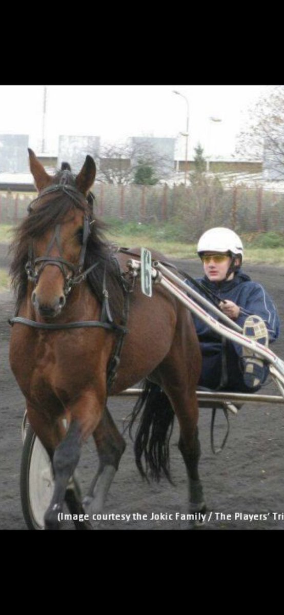 34rymill's tweet image. He is king