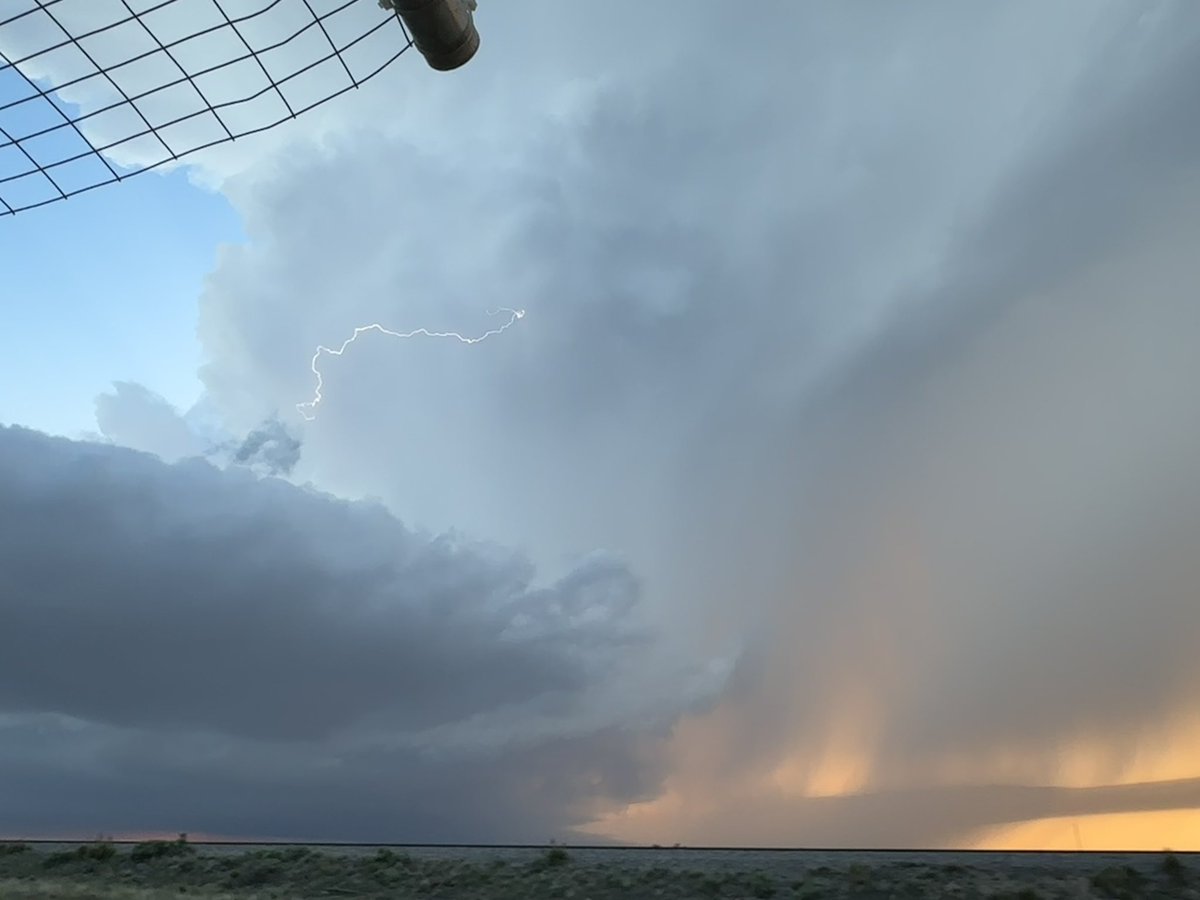 Michaela tweet media