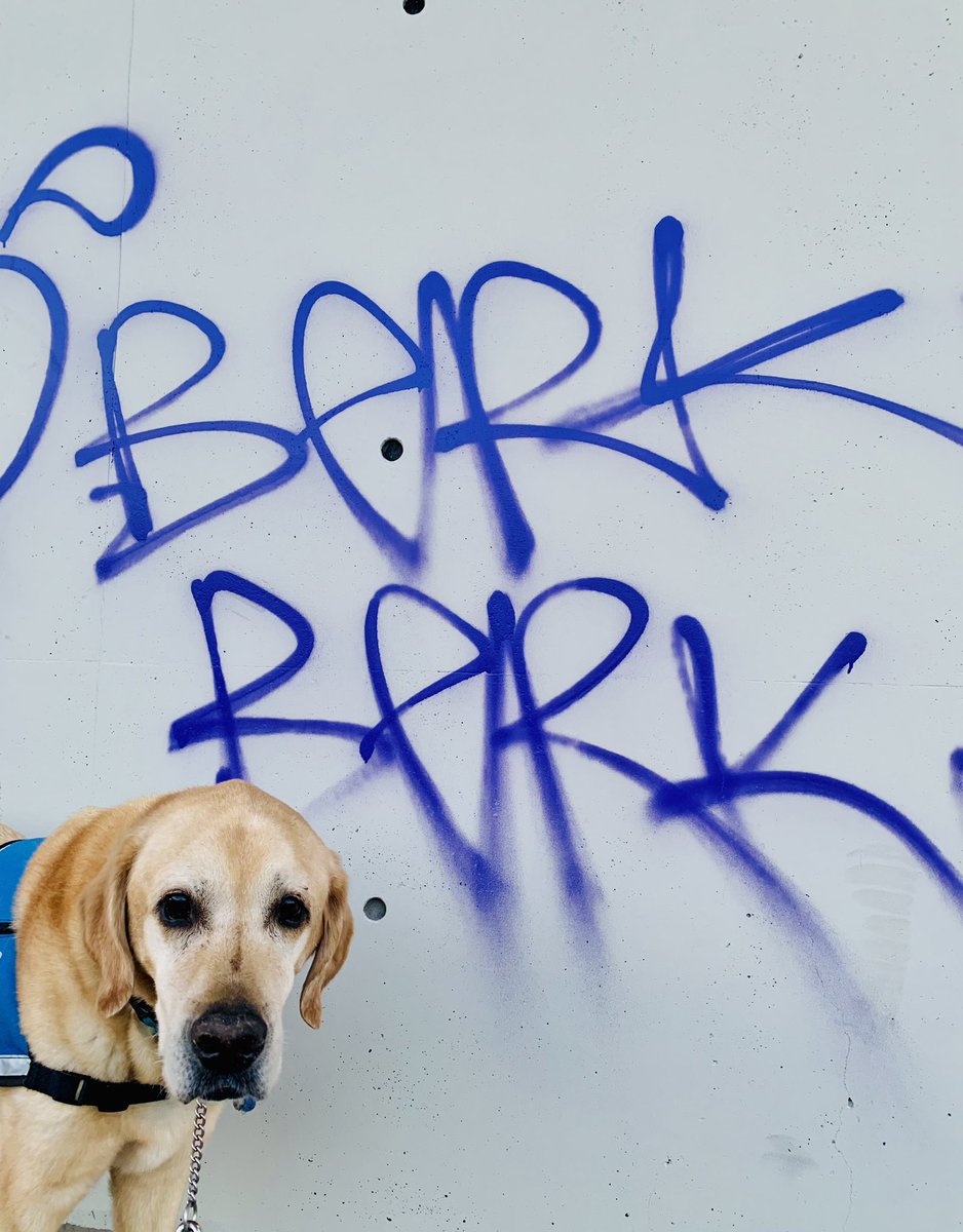 Not condoning graffiti on <a href="/sfbart/">BART</a> but also could not turn down this photo opp before they paint it over… #BARK