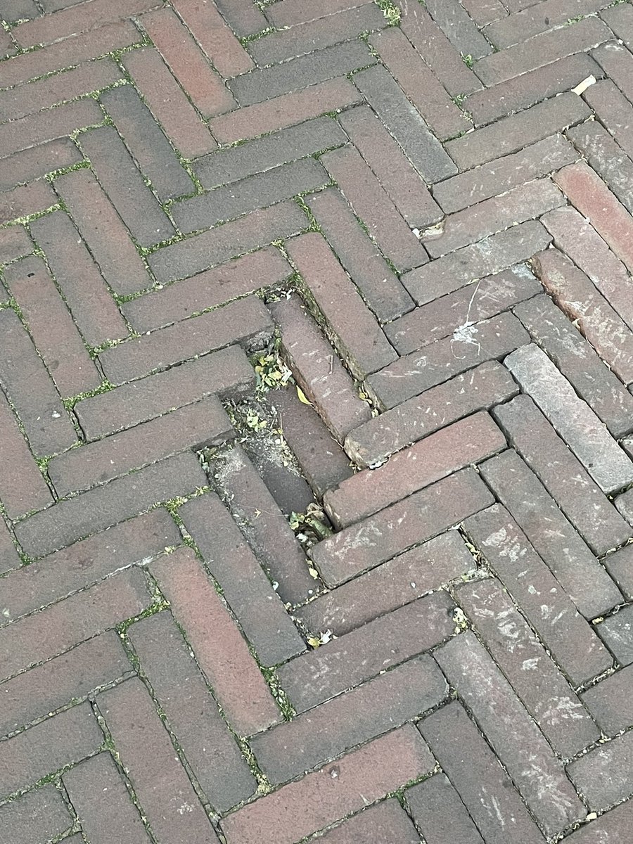 EmperorStorky's tweet photo. @GemeenteDenHaag en nogmaals omtrent een inzakking van de klinkers ter hoogte van de Marqt. In de Theresiastraat. Het lijkt mij een hardnekkig probleem. https://t.co/662LJueJL5