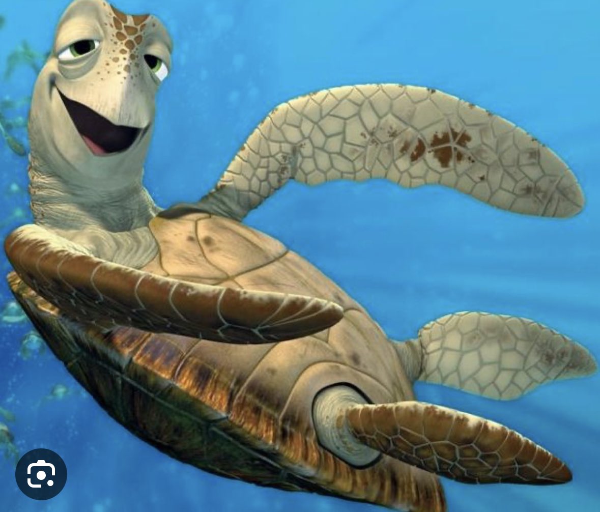 cait✌️ tweet media