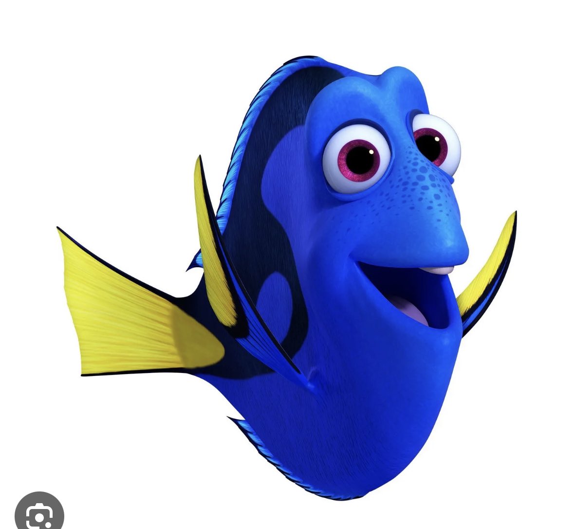 cait✌️ tweet media