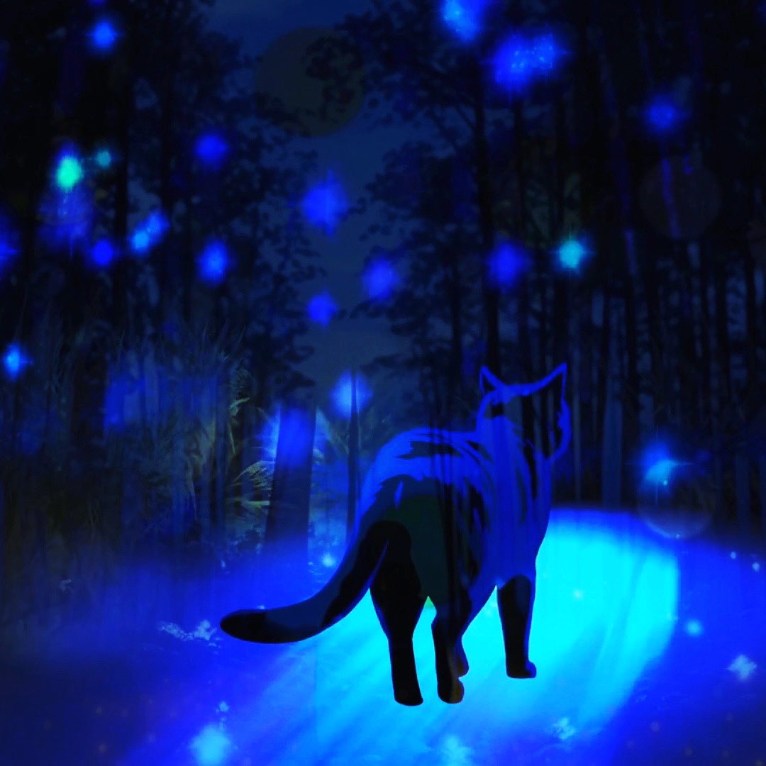 ScottExies's tweet image. THURSDAY !!! #spiritshigh VIDEO comes to life . The image below is “spirit cat “ who magically showed up from the tall grass to greet me , we had never met before but yet there he was . When moments like this happen it’s meant to be , everything is as it should be .