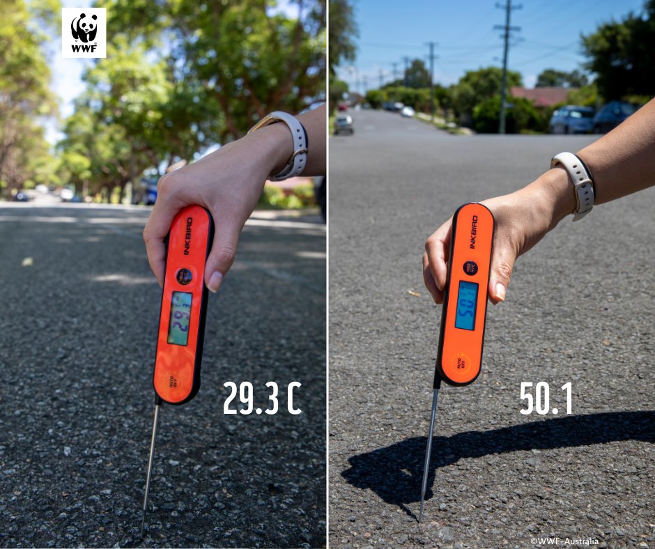 Trees lower surface and air temperatures by providing shade. Shaded surfaces may be 11-25°C cooler than the peak temperatures of unshaded surfaces.

#weallneedtrees #trees #Australia 
Find out more discover.wwf.org.au/zz5053