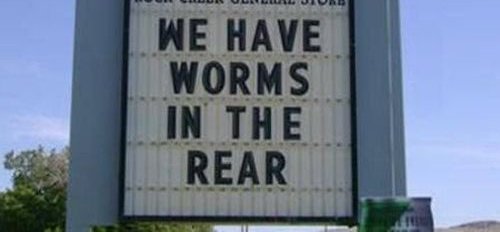 _Katiebyy69_2's tweet photo. Help you out with your worm problem....
#ImNotQualifiedTo https://t.co/y6grvkMCye