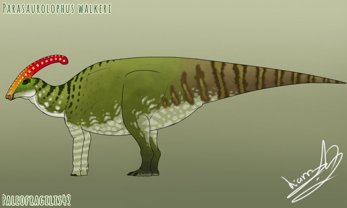 Parasaurolophus :D

#paleoart #paleoarte #parasaurolophus #JurassicPark30thAnniversary #JurassicPark