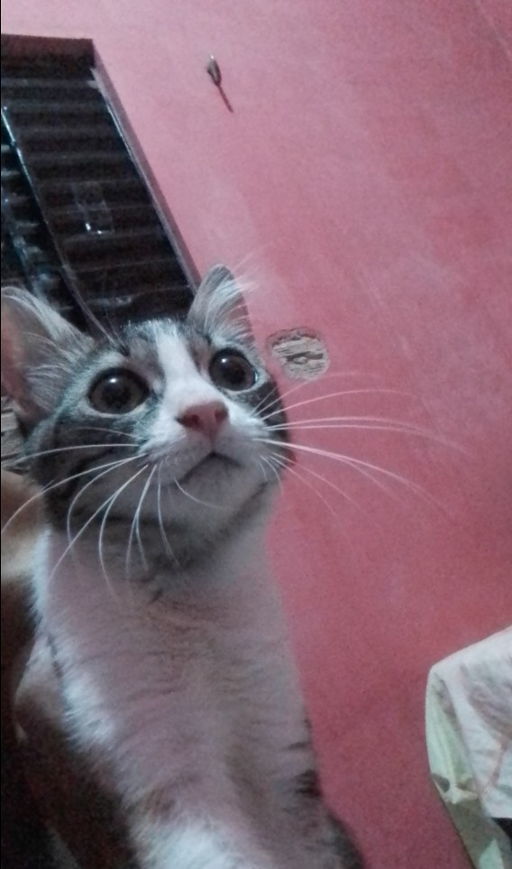 _hasleen's tweet photo. não tenho foto aqui, vou deixar essa da rose    tchau https://t.co/KZTPr82GqO