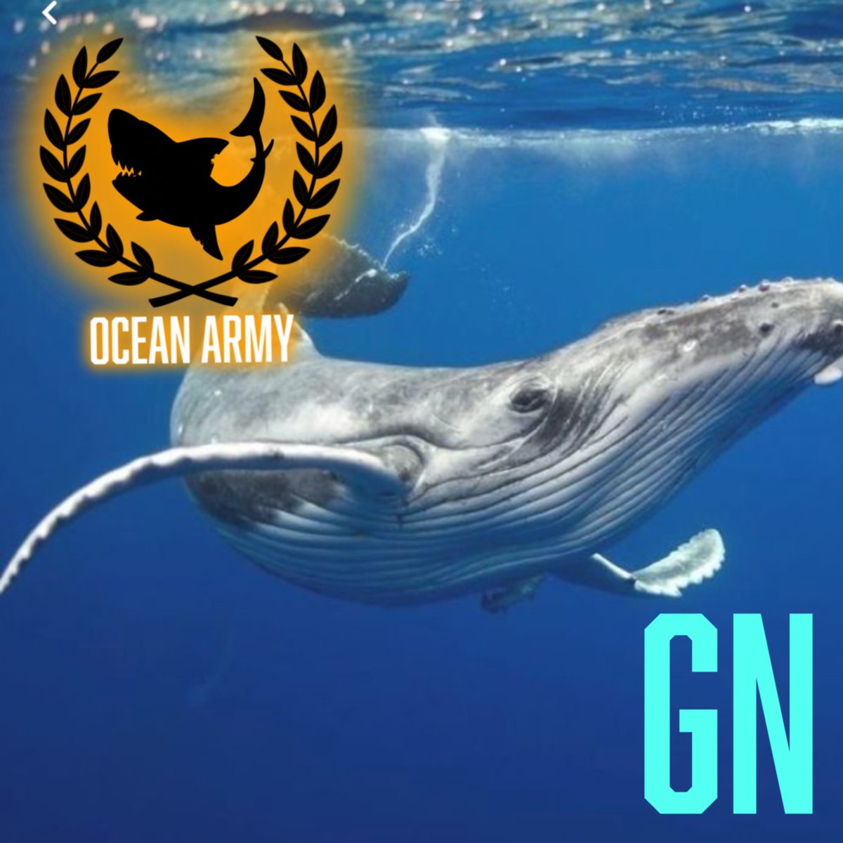 it's always GN or GM somewhere