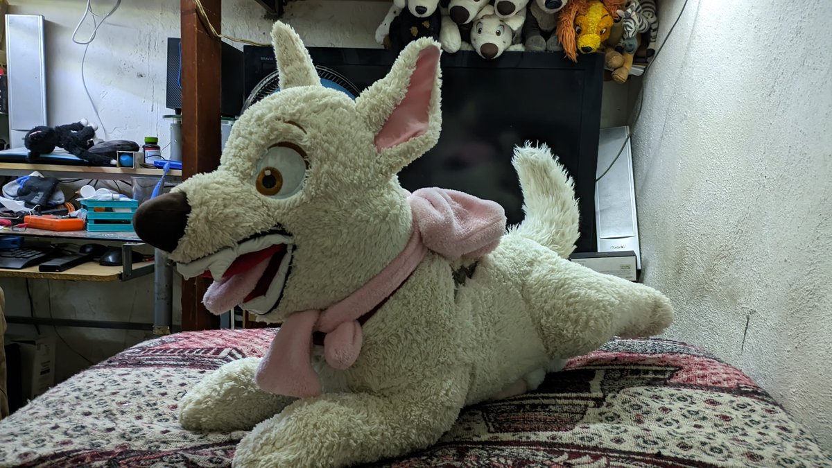 Boltylove❤️ tweet media