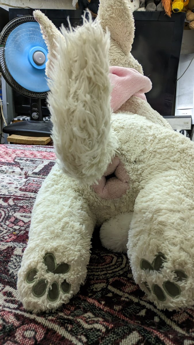 Boltylove❤️ tweet media