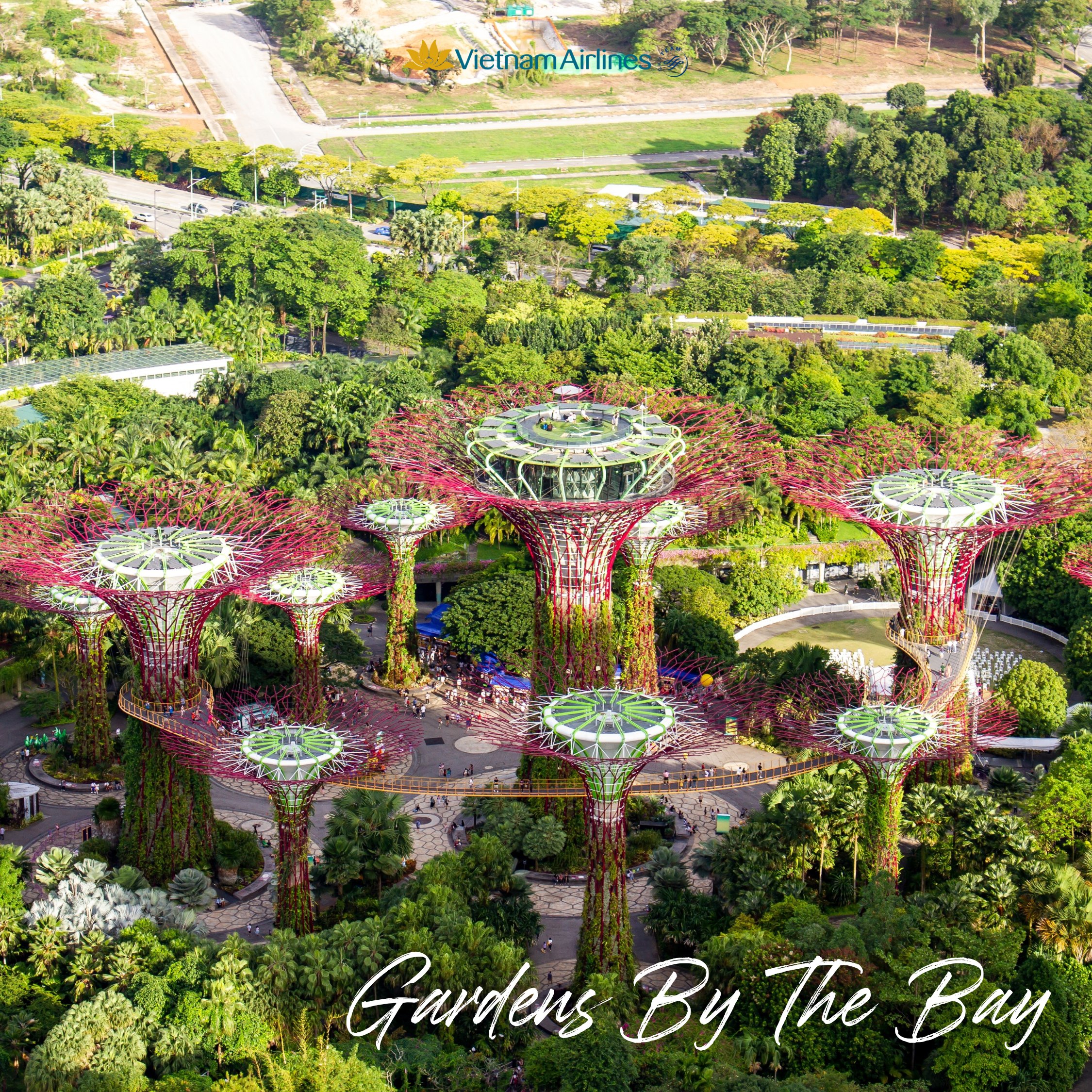 Vietnam Airlines on Twitter "Not only do flight attendants actively