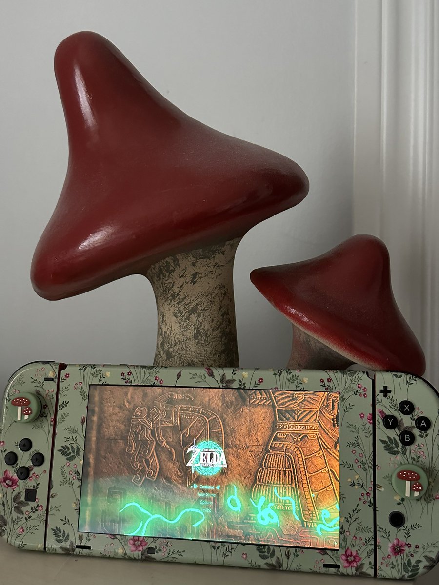 got a cute skin for my switch 🍄