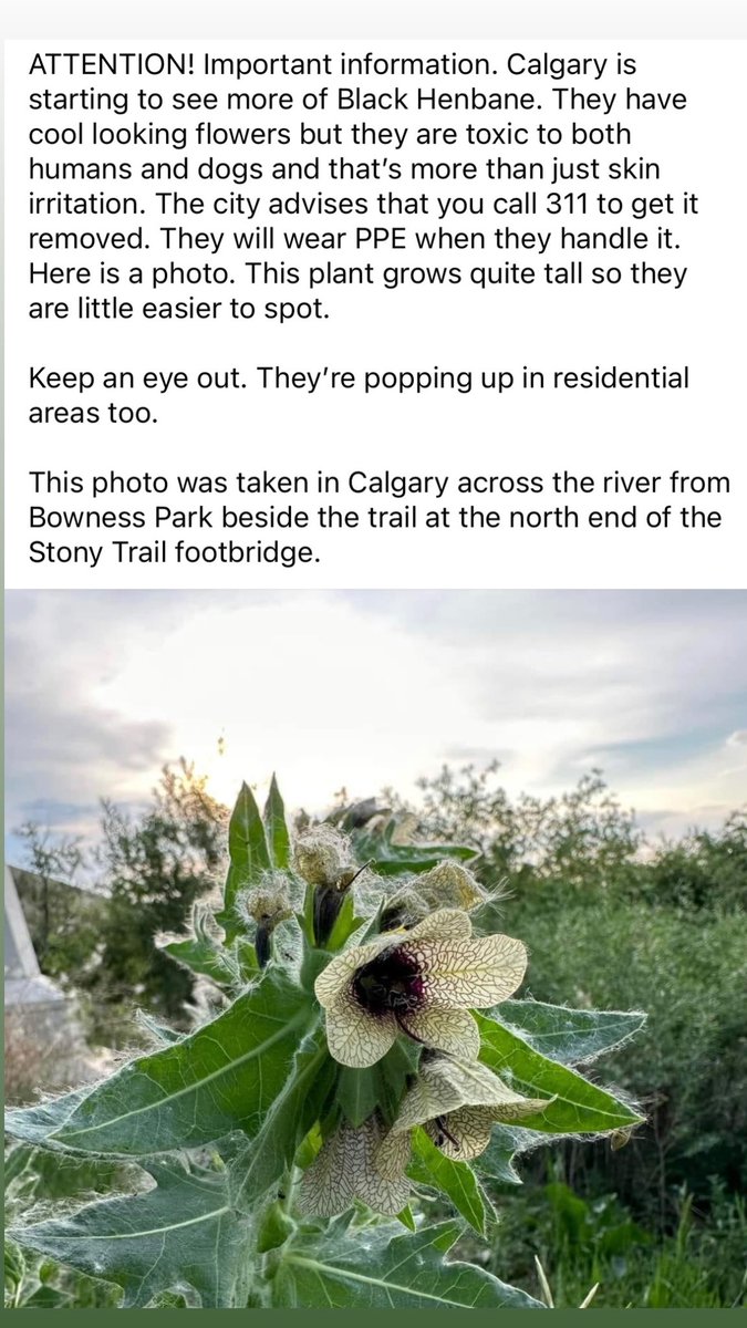 Meg 🇨🇦 tweet media