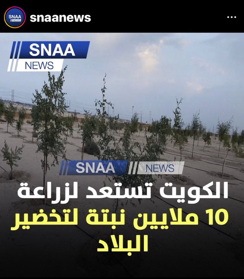 Majedahaljarki's tweet photo. خبر يسرّ الخاطر لكن هل ستكون هناك رقابه ورعايه دائمه أم ستلحق بالعديد من النخيل اللي ماتت بمكانها!!!! 
ينقصنا الضمير الحيّ! https://t.co/ppuiS7F43C