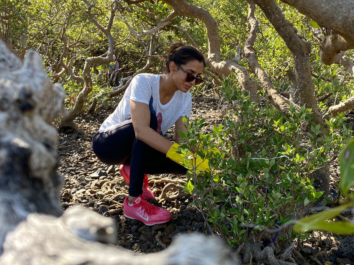 UrbanAsian's tweet photo. .@pragyakapoor_’ #EkSaathFoundation and the #citizen movement “#CarterCleanup” do their #100th #cleanup https://t.co/FIMIgn4EJQ https://t.co/3gKjg8p58i