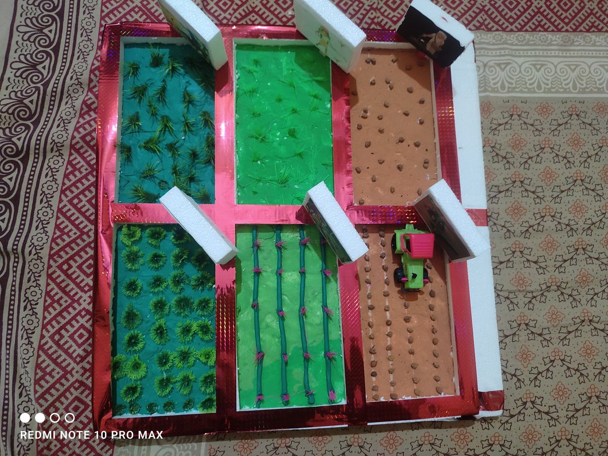 Aksh_Bharat's tweet image. Agriculture 🚜🌽👨‍🌾

#ScienceProject  #TeachingGoals