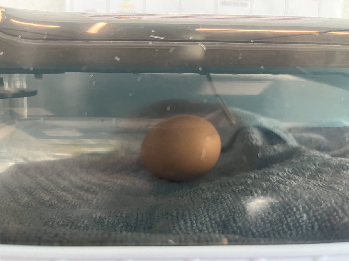 Chantal Chapin tweet media