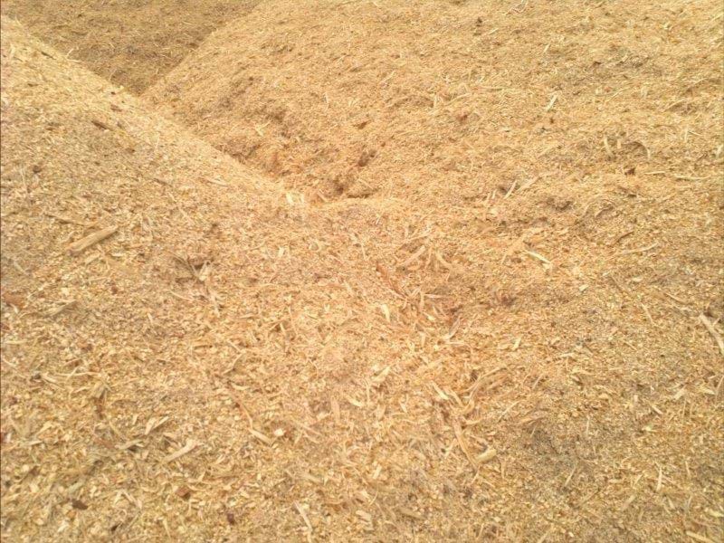 Premium sawdust and wood shavings for sale Australia-wide! 🐔🐶 Ideal for chicken and animal bedding. 

Competitive prices and natural products. 🌟Call 1800 360 039. 

#AnimalBedding #WoodShavings #ChickenBedding