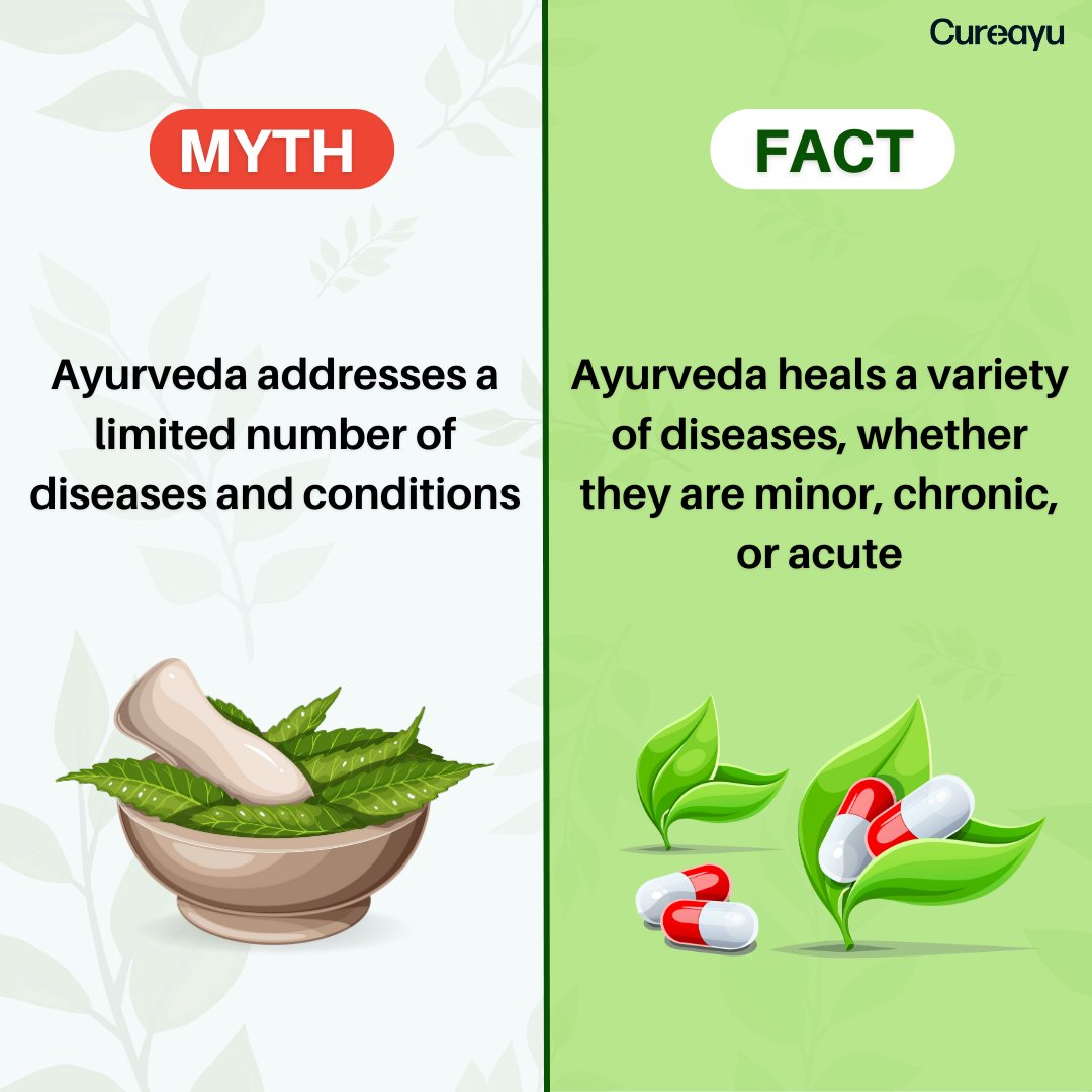 cureayu's tweet photo. MYTH vs FACT :-

We've all heard a lot about Ayurveda in our daily lives, but are you aware of the following myths and facts? 
Let us know in the comments.

#Cureayu #AyurvedaHealing #HolisticHealth #WellnessWisdom #Naturalremedies #MindBodyBalance #mythvsfact #SelfCareJourney https://t.co/62sWPDfMWE