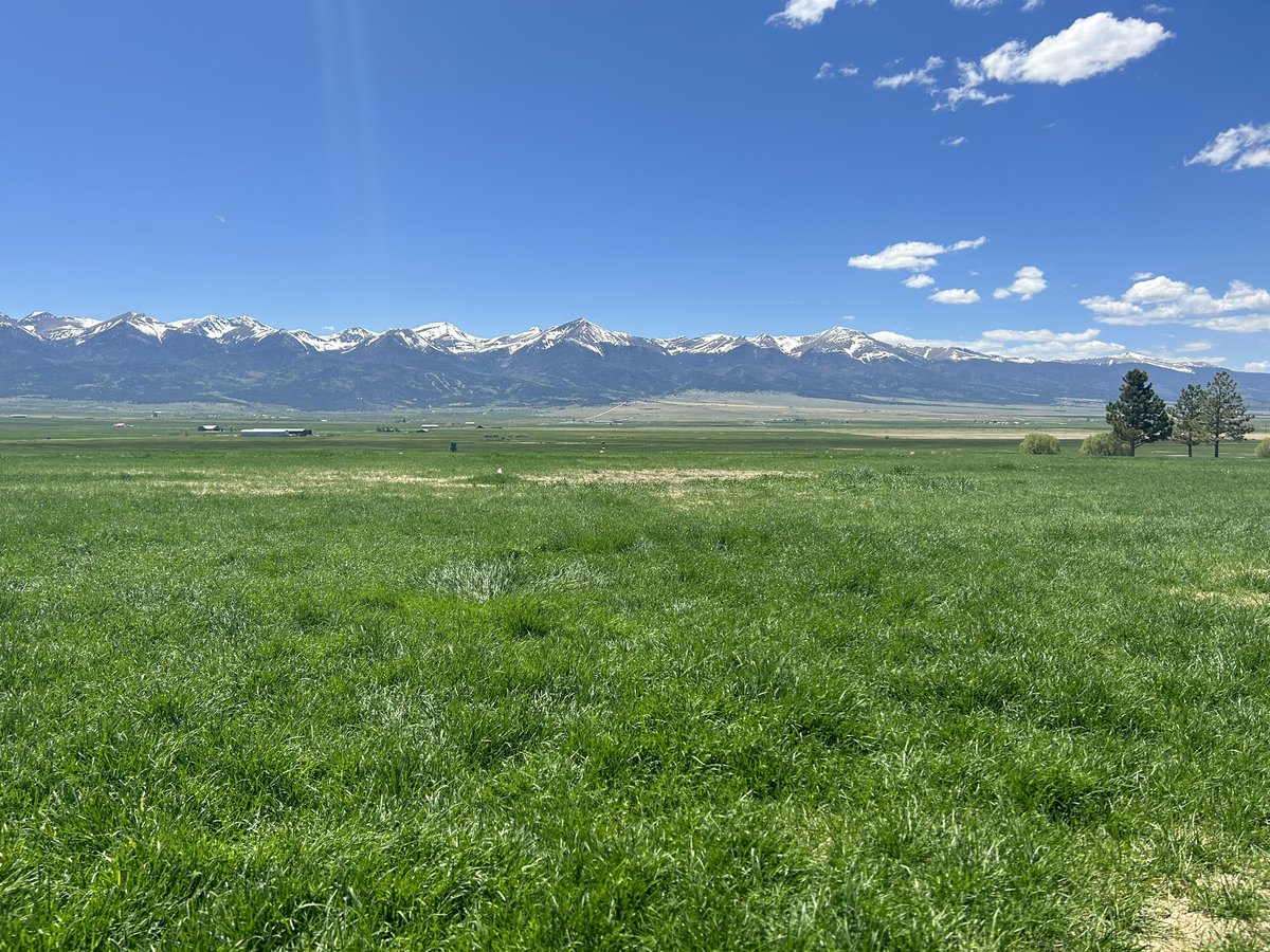 STconsultingco's tweet image. I haven’t had a chance to hike in awhile, but I sat in the Valley to eat lunch at the end of Main in #westcliffe , I am going to start posting more as we are ready to start helping clients. Let’s make this a great season for all the businesses in beautiful #custercountyco