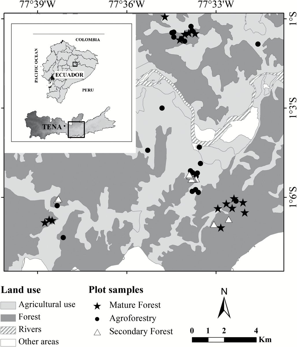 Biodiversity, dynamics, and impact of chakras on the Ecuadorian Amazon doi.org/10.1093/jpe/rt…

🌼By Roy R Vera V, J Hugo Cota-Sánchez, Jorge E Grijalva Olmedo