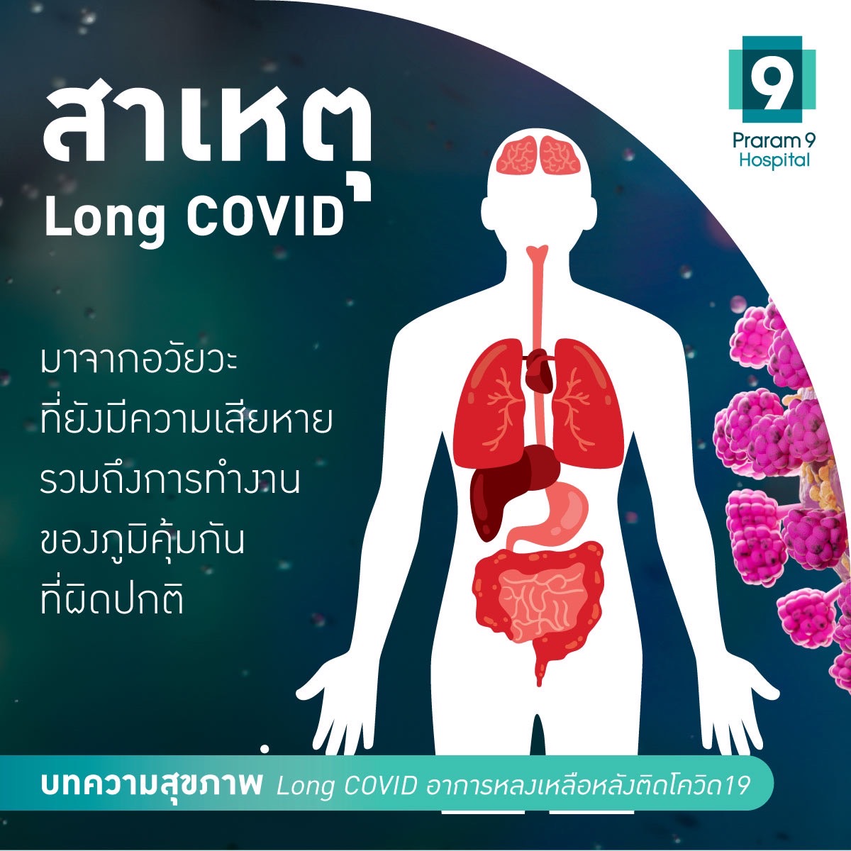 L O N G    C O V I D 

หลังติดเชื้อแล้ว 
โควิดทิ้งอะไรไว้ให้กับร่างกายเรา !
#โควิด 
#โควิด19
#โควิดวันนี้ 

👉 hubs.li/Q01TdxQn0